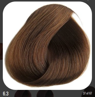 REVERSO - 6,3 - tmavý blond zlatý