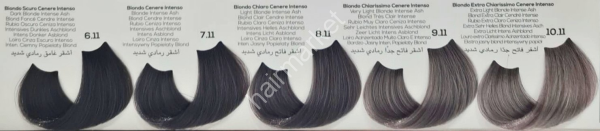 BHEYSÉ color - 6,11 - dark blonde intense ash (6)
