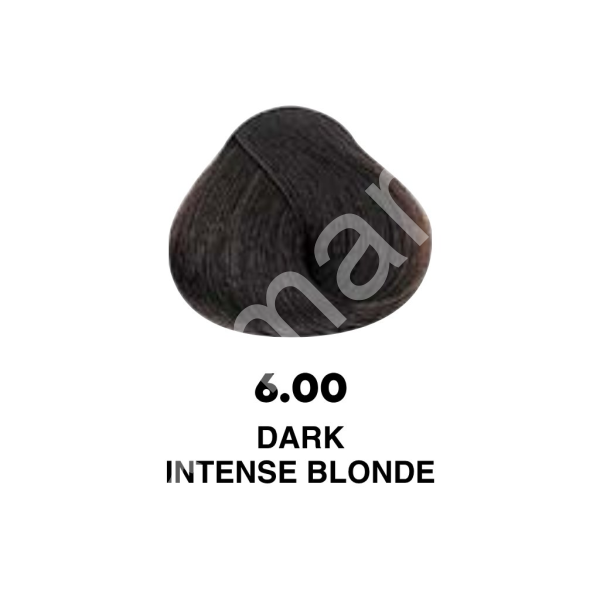 EVOCOLOR new - 6,00 - tmavě plavá intenzivní (6)