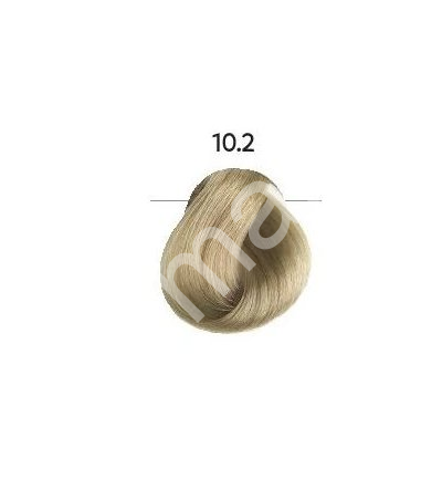 EVOCOLOR new - 10,2 - velmi světlá blond béžová (6)