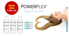 PowerPlex® kit