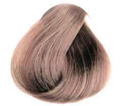 EVO color - 9,81 - velmi tmavá duhově popelavá blond