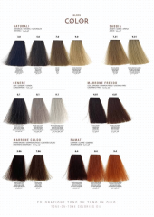 GLOSS COLOR (2)