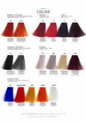 GLOSS COLOR (3)