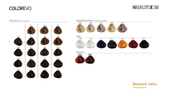 NEW EVO-COLOR - 0,00 - neutrální (5)