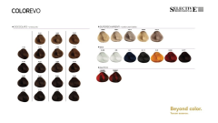 NEW EVO-COLOR - 1,0 - černá (6)