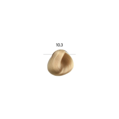 EVOCOLOR new - 10,3 - velmi světlá blond zlatá (6)