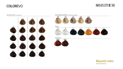NEW EVO-COLOR - 1,0 - černá (6)